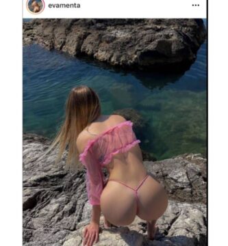 ale tanooki