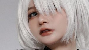 2B - Azami