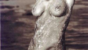 Denise-Richards nudes