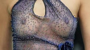 Bella Hadid See through Tits