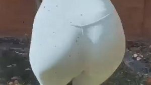 Rita Ora yoga ass session